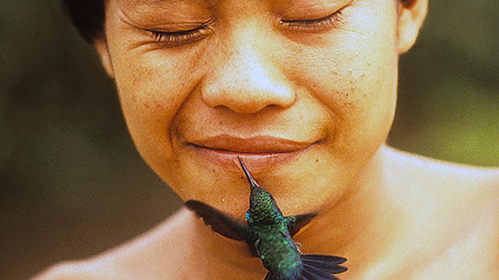 1991, Índígena  Yanomami com beija-flor, aldeia Demini, Roraima