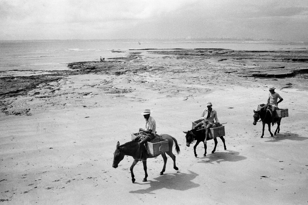 Vendedores de coco na praia, Ilha de Itaparica, BA, 1987